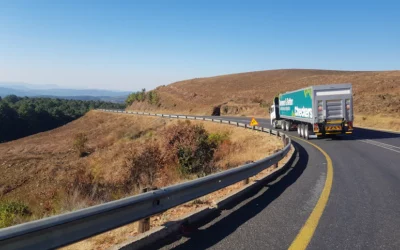 Are We Constantly on the Move?