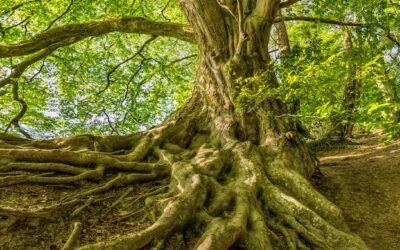 The Evolution of Technology and How It Affects the Church